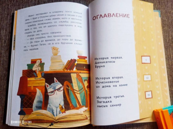 Ольга Сафронова: Любопытная Швабра