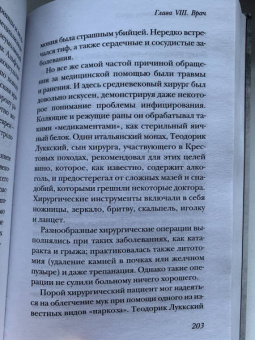 Гис, Гис: Жизнь в средневековом городе