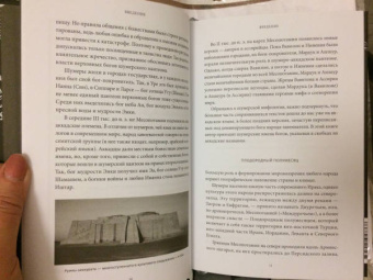 Юлия Чмеленко: Шумерские мифы. От Всемирного потопа и эпоса о Гильгамеше до бога Энки и птицы Анзуд