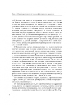 Руслан Зардов: Теория эффективного нарушения. Анализ, критика, перспективы. Монография