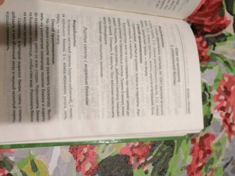 Алевтина Баранова: Крапива, щавель, подорожник, сныть, черемша, ботва