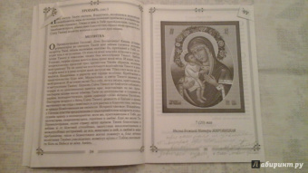 Молитвы ко Пресвятой Богородице пред 45 чудотворными Ея иконами