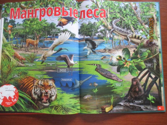 Жизнь животных. Реки и озера