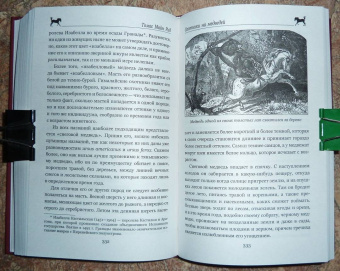 Рид Майн: Письмо и пуля