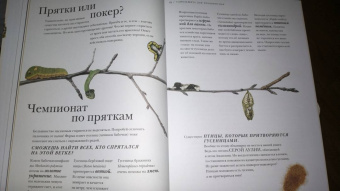 Барт Россел: Поразительные насекомые. Книга про подземных математиков, мастеров блефа, дружных кочевников, зомби