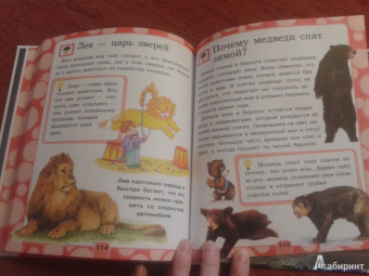 Человек
