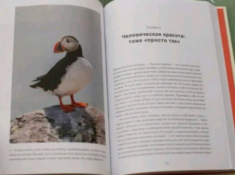 Ричард Прам: Эволюция красоты. Как дарвиновская теория полового отбора объясняет животный мир — и нас самих