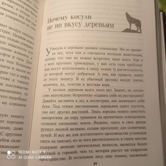 Петер Воллебен: Тайные связи в природе
