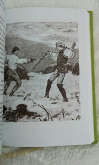 Александр Пушкин: Капитанская дочка. Дубровский