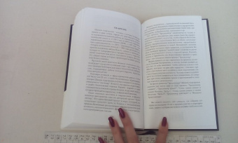 Шамиль Аляутдинов: Мир души