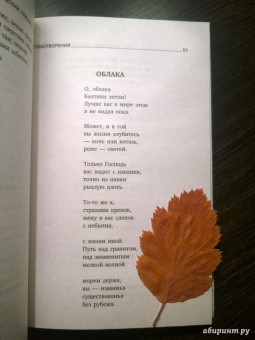 Иосиф Бродский: Пейзаж с наводнением. Стихотворения