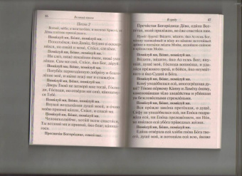 Великий покаянный канон преподобного Андрея Критского