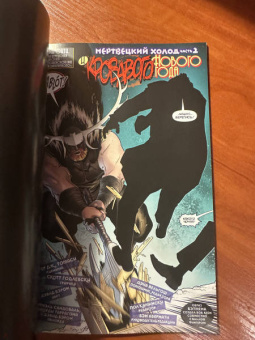 Питер Томаси: Бэтмен. Detective Comics. Мертвецкий холод