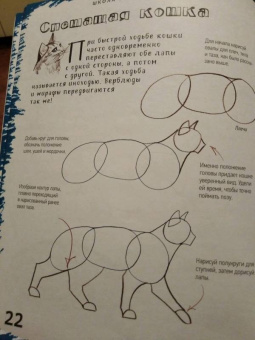 Марк Берджин: Школа рисования. Кошки