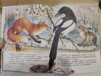 Николай Сладков: Бюро лесных услуг