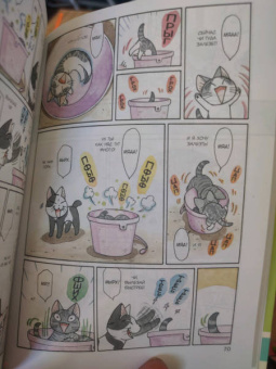 Конами Каната: Милый дом Чи. Книга 10