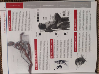 ImagineFX: Анатомия. Создание реалистичных людей и животных + мастер-классы по QR-коду