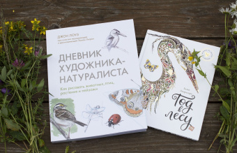 Хелен Апорнсири: Год в лесу