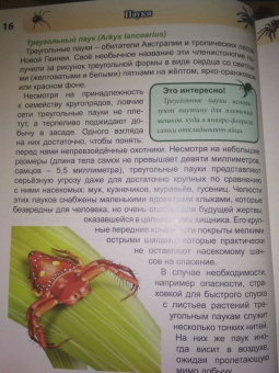 Людмила Соколова: Хочу знать. Пауки