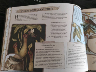 Секретная жизнь фей