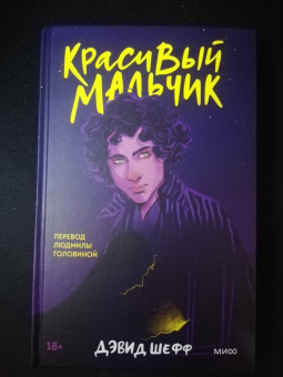 Дэвид Шефф: Красивый мальчик. Правдивая история отца, который боролся за сына