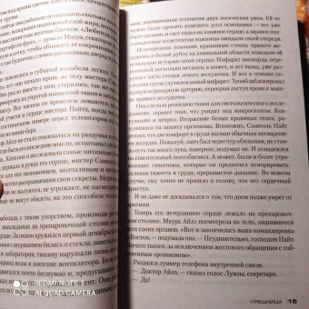 Тесс Герритсен: Грешница