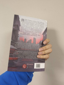 Дарья Буданцева: Медиаторы. Книга 1. Право на власть
