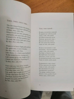 Мур, Шелли, Лонгфелло: Леда и лебедь. Английские, американские и ирландские поэты в переводах Романа Дубровкина
