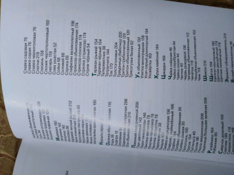 Владимир Бабенко: Животные рядом с нами