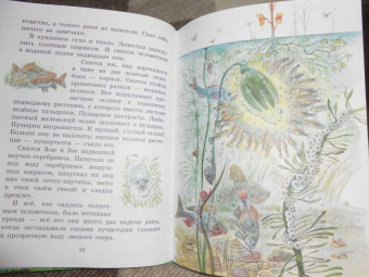 Виталий Бианки: Сказки о солнечных зайчиках