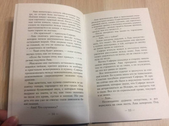 Кристен Сиккарелли: Последний Намсара. Боги света и тьмы