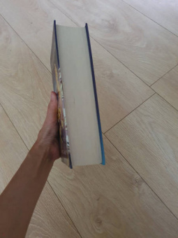 Марисса Мейер: Рапунцель