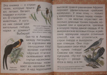 Инна Гамазкова: Гнезда, норки, домики