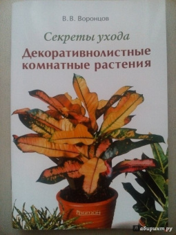 Валентин Воронцов: Секреты ухода. Декоративнолистные комнатные растений