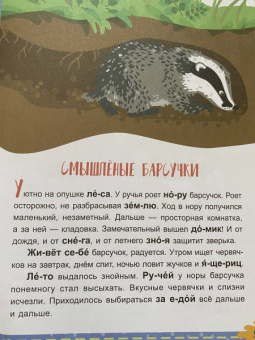 Александра Монич: Лесные секреты. 1 уровень сложности