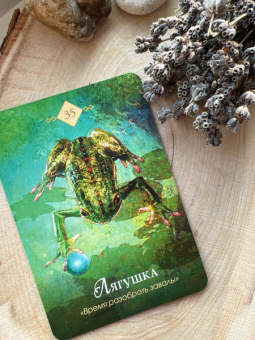 Колетт Барон-Рид: The Spirit Animal Oracle. Духи животных. Оракул, 68 карт и руководство в подарочном оформлении