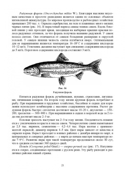 Власов, Жигин: Технология производства продукции биоресурсов. Учебное пособие