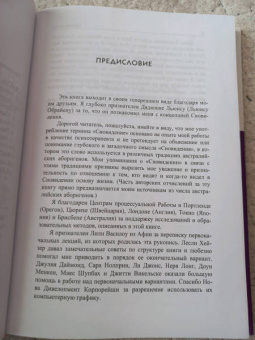 Арнольд Минделл: Сновидение в бодрствовании. Методы 24-часового осознаваемого сновидения в психотерапии