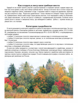 Матанцева, Матанцев: Самые распространенные съедобные грибы