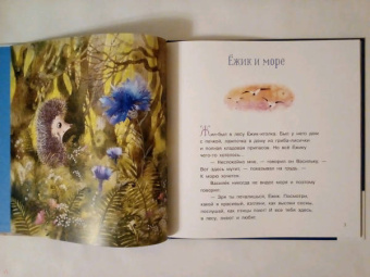 Сергей Козлов: Ёжик и море. Сказки