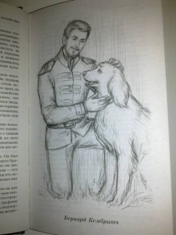 Ирина Котова: Королевская кровь. Расколотый мир