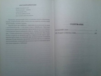 Анатолий Байбородин: Не родит сокола сова