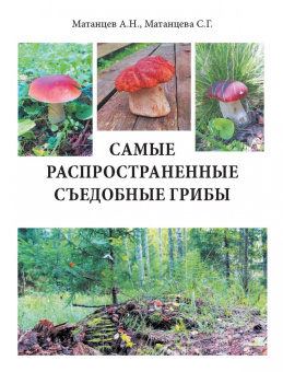 Матанцева, Матанцев: Самые распространенные съедобные грибы