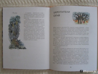 Николай Осипов: Заколдованное дерево