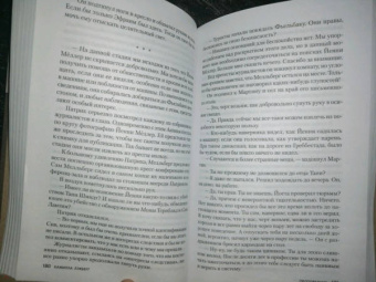Камилла Лэкберг: Проповедник