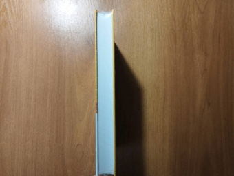 Ирвин Уэлш: Тупая езда