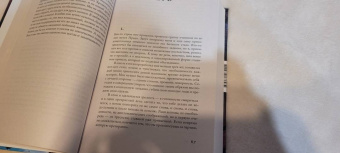 Фернандо Арамбуру: Стрижи