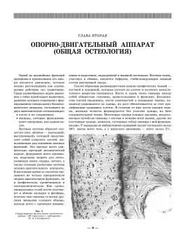 Слесаренко, Бабичев, Дурткаринов: Анатомия собаки. Соматические системы. Учебник