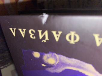 Хафса Файзал: Охотники за пламенем