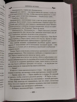 Андрэ Нортон: Колдовской мир. Тройка мечей